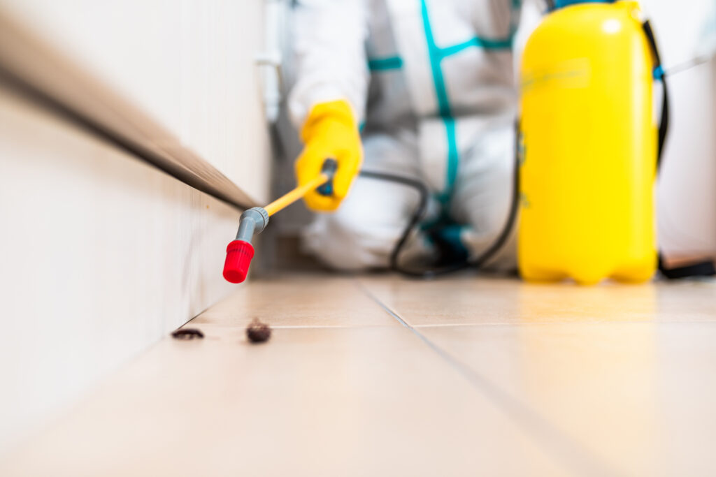 Shaker Heights,Cockroach Experts
