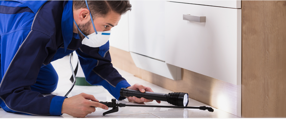 Shaker Heights,pest xpert removal